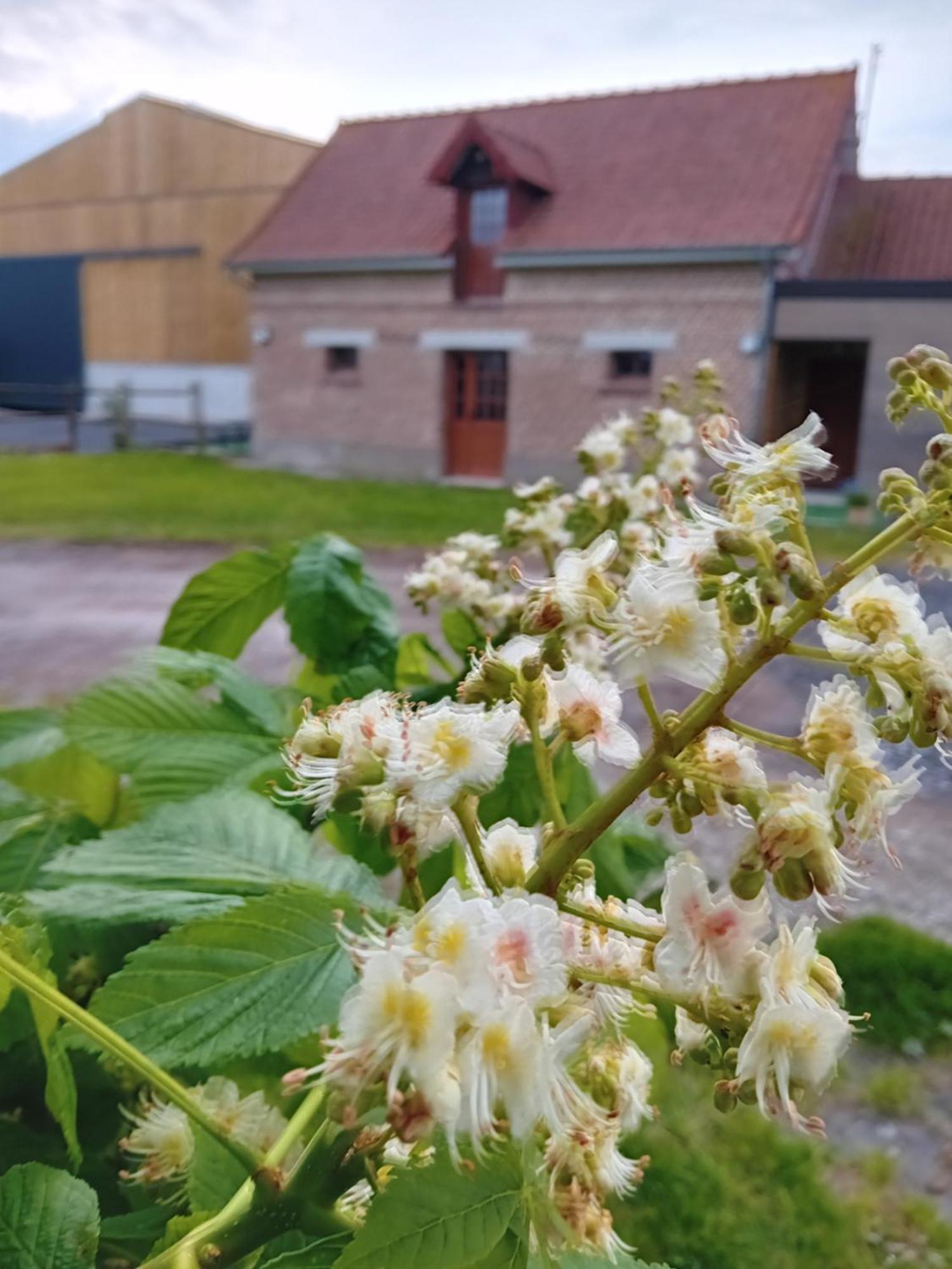 Gite Ferme Du Marronnier Derchigny Экстерьер фото